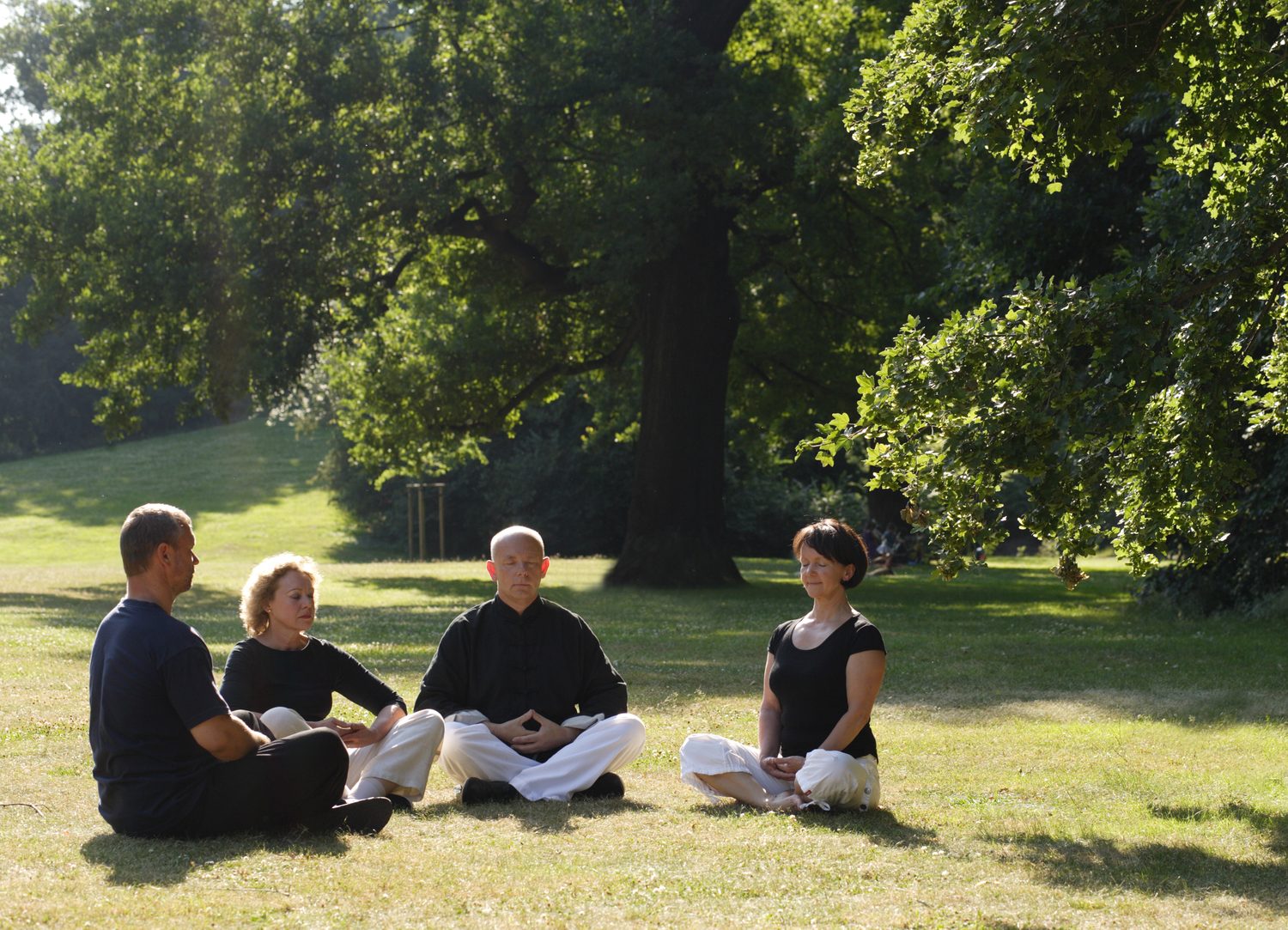 Vier Teilnehmende sitzen zur Meditation auf einer Parkwiese, in der Mitte Horst-Rainer Rust