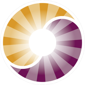 Qi Gong Vital Zentrum – Emblem mit zwei Drachen und Qi-Symbol