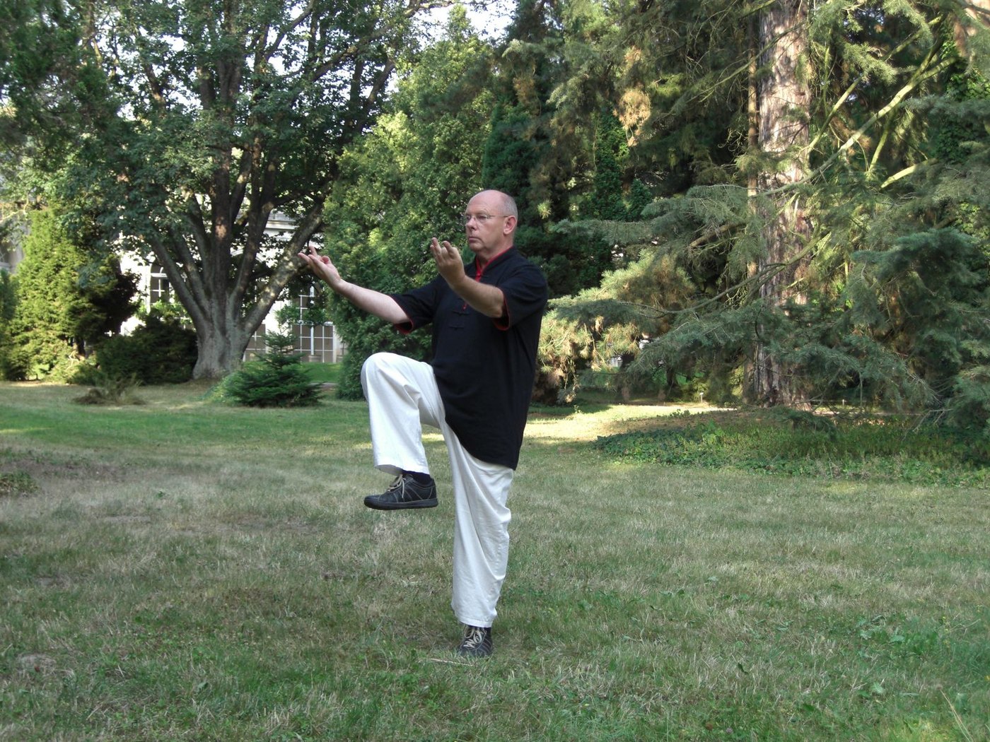Horst-Rainer Rust übt Qi Gong im Stand auf einem Bein unter hohen Bäumen