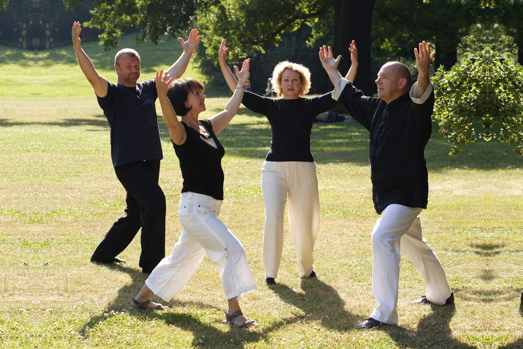 Qi Gong im Freien: vier Übende auf einer Wiese, die Arme weit nach oben geöffnet